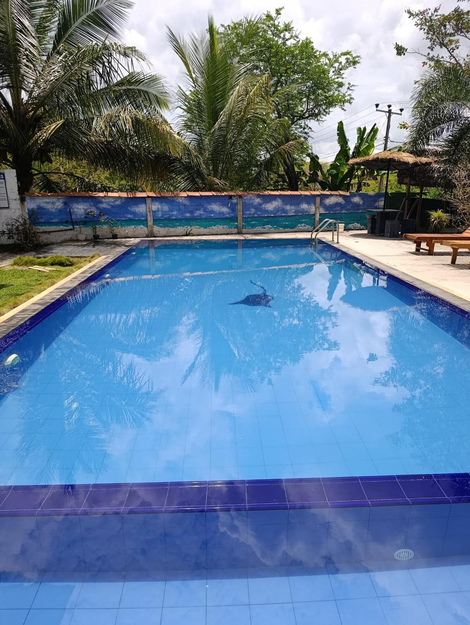 סיגירייה Amelia Resort מראה חיצוני תמונה